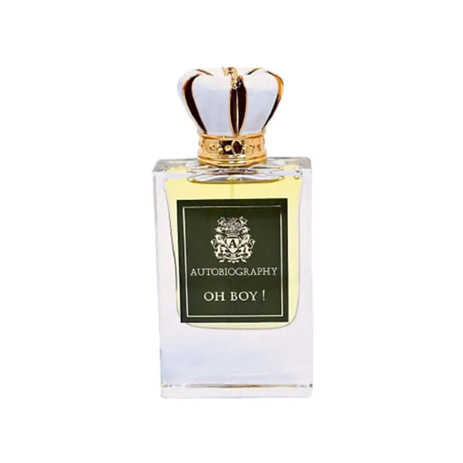 Oh Boy! - Autobiography - Sample Autobiography