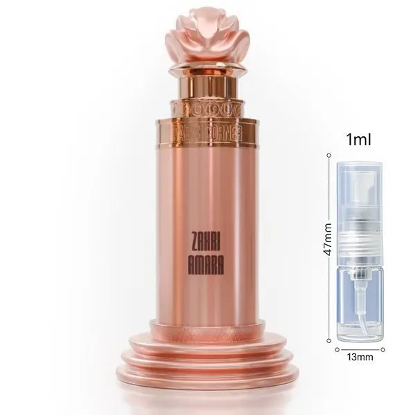 Zahri Amara - Paris Corner - Sample Paris Corner