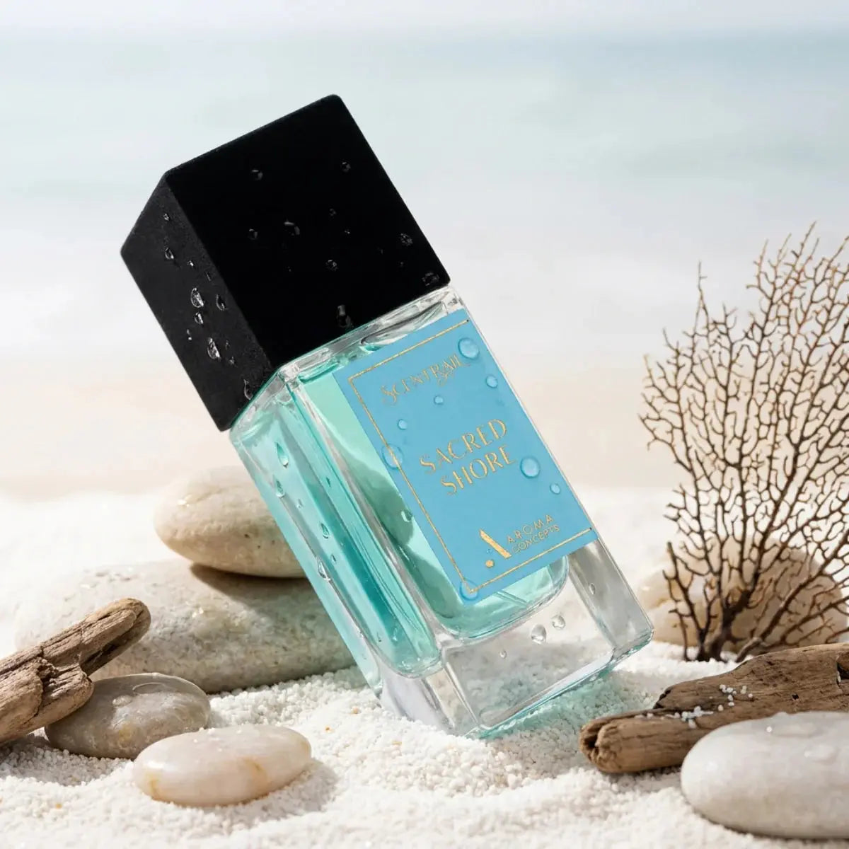 Sacred Shore - Aroma Concepts - Sample Aroma Concepts