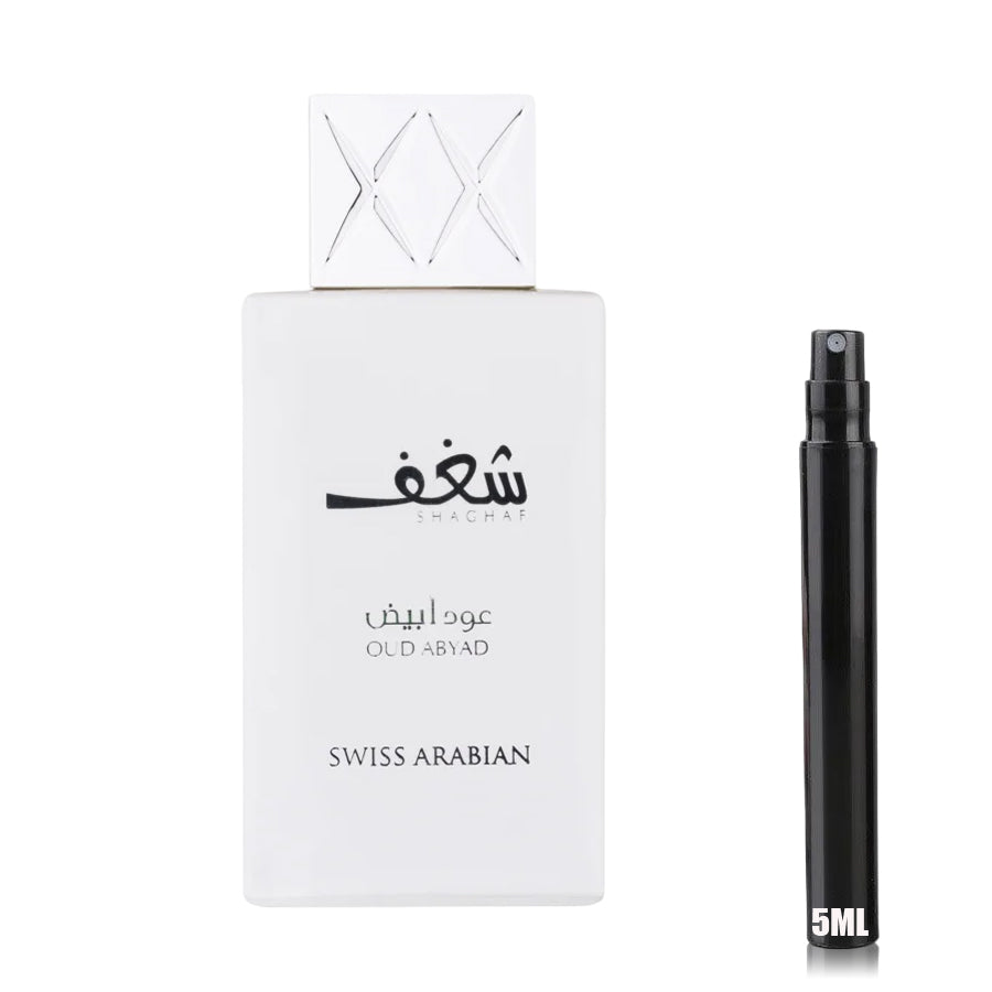 Shaghaf Oud Abyad - Swiss Arabian - Échantillon