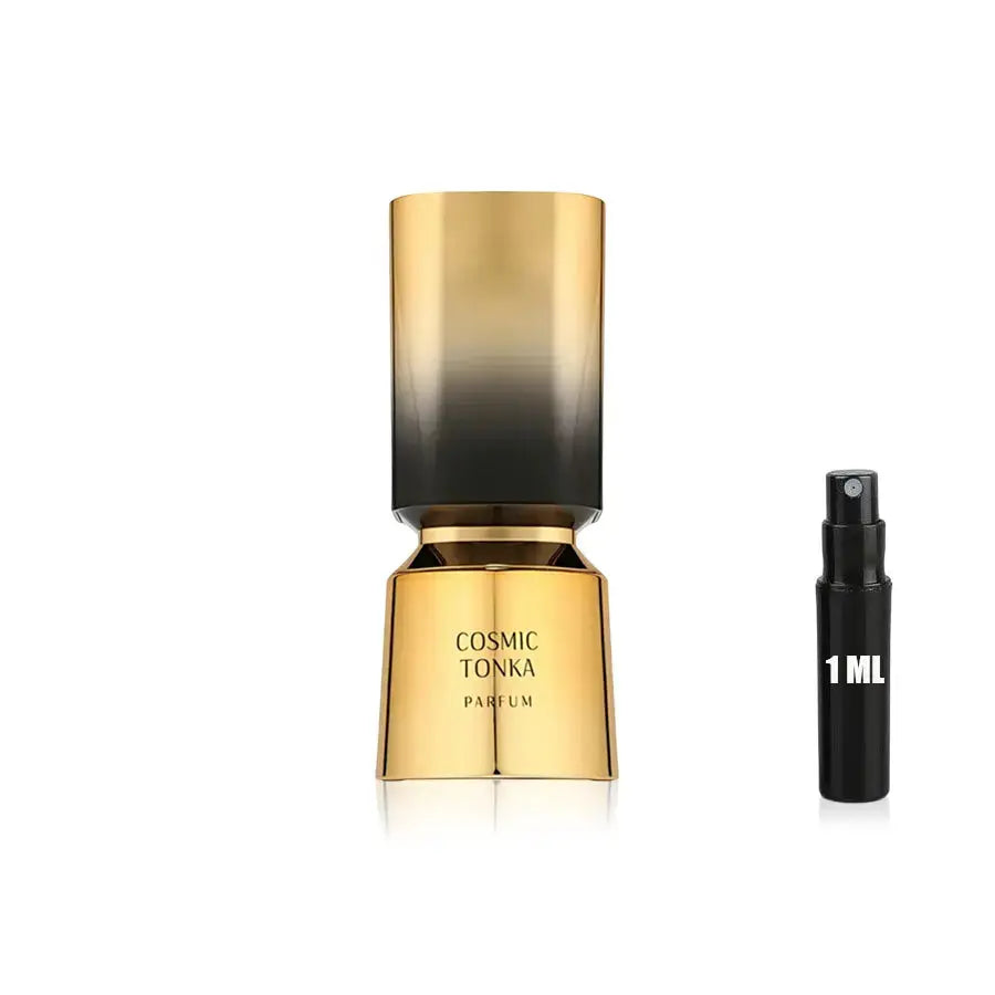 Cosmic Tonka - French Avenue - Sample French Avenue