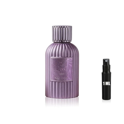 Qissa Gala - Paris Corner - Sample Paris Corner