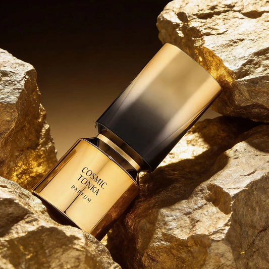 Cosmic Tonka - French Avenue - Sample French Avenue